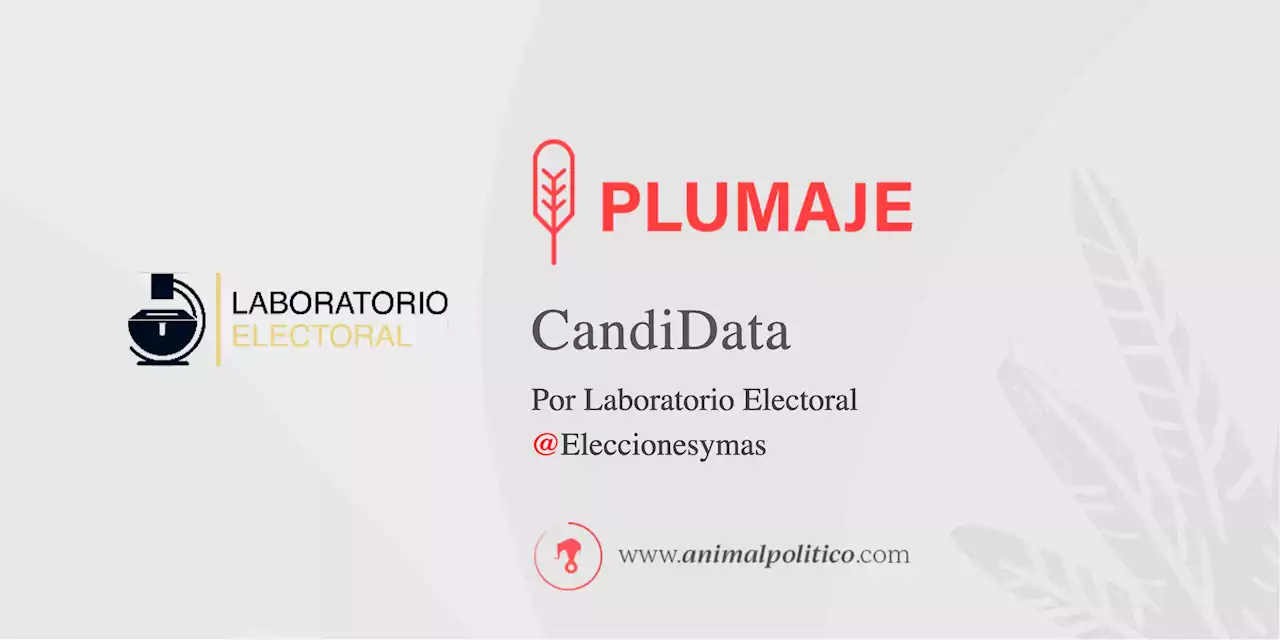 El peso de las y los residentes en el extranjero en las elecciones 2024