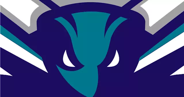 Charlotte Hornets launch jersey with MrBeast feastables patch - Deseret News