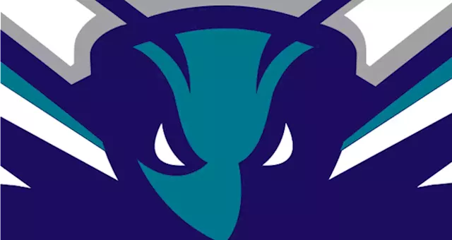 Hornets Ink Jersey Patch Deal With Brand Founded by r 'MrBeast' –