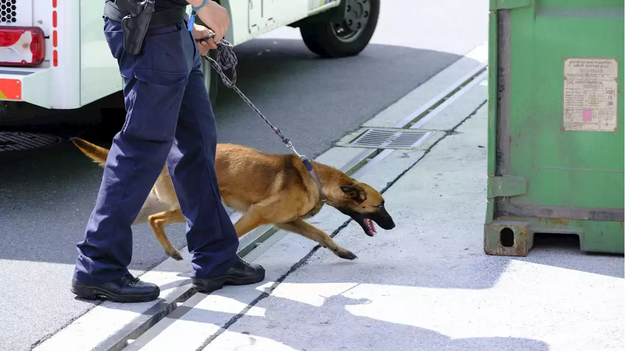 Plus de 300 kilos de cocaïne saisis dans le port d'Anvers