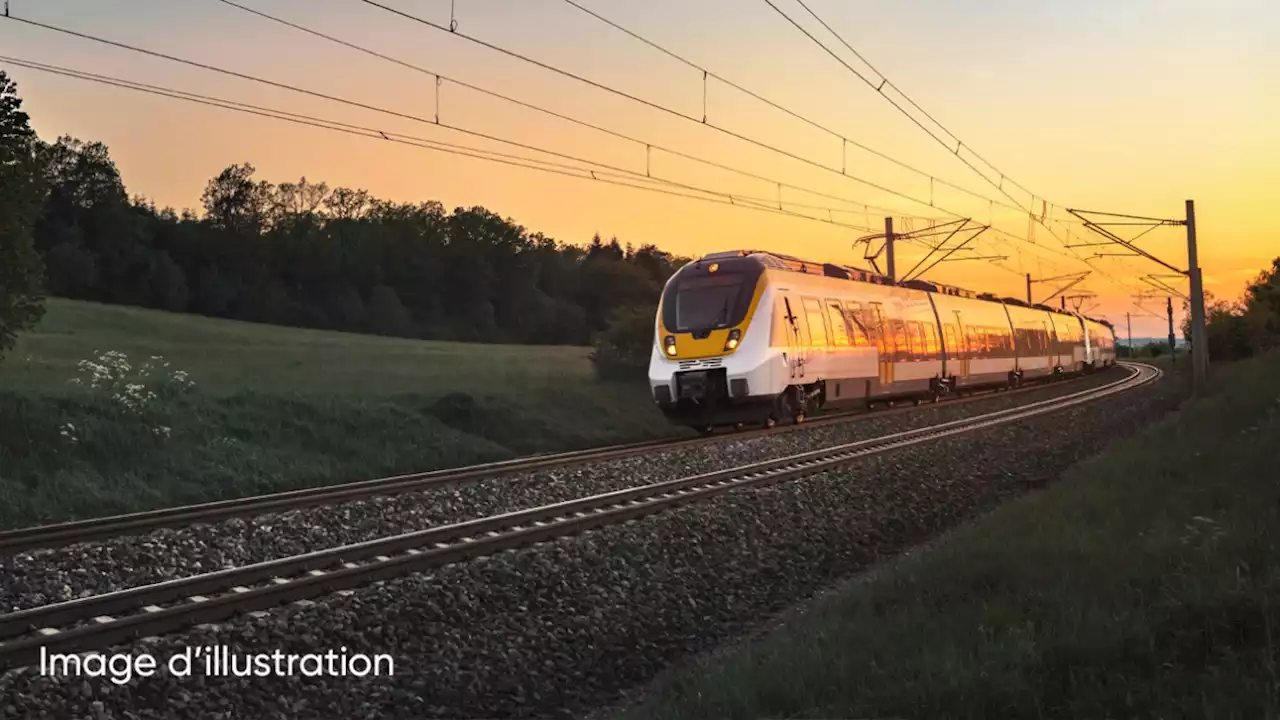 Une collision entre un train et une locomotive fait plusieurs blessés en Écosse