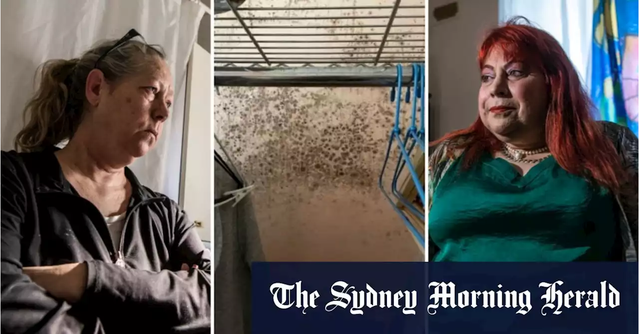 Mushrooms on the wall, ruined clothes, brain fog: The Sydney tenants living with mould