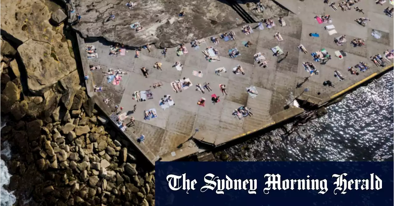 Sydney braces for total fire bans as long weekend temperatures soar