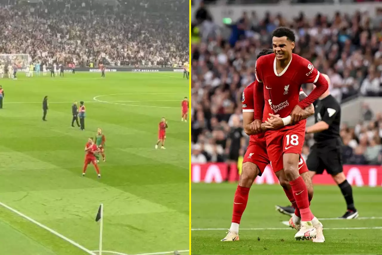 Liverpool fans love Nunez's defiant reaction to Spurs defeat but get worrying Gakpo update