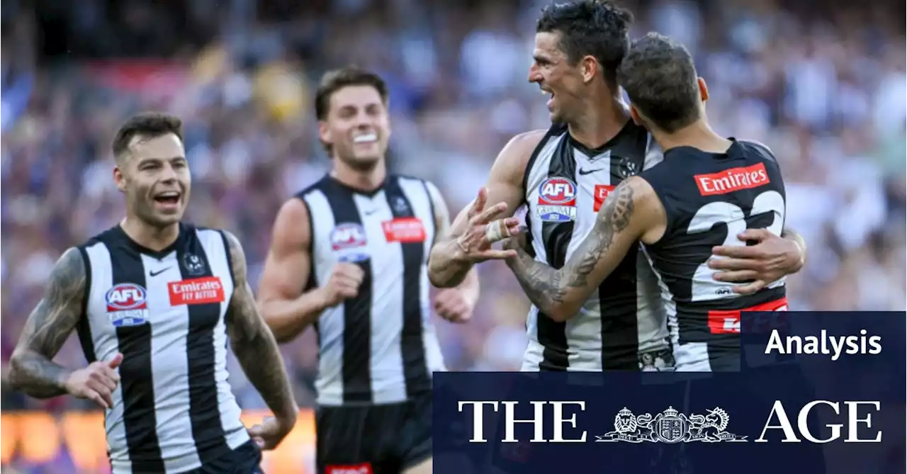 How the Pies and Lions rated in the grand final