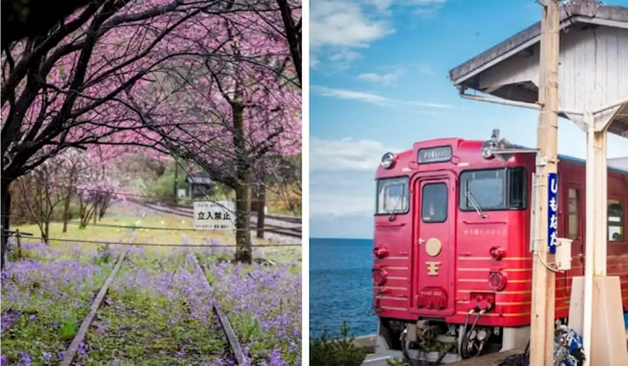 Last Call For Japan Rail Passes At Current Prices Before Prices Go Off The Rails!