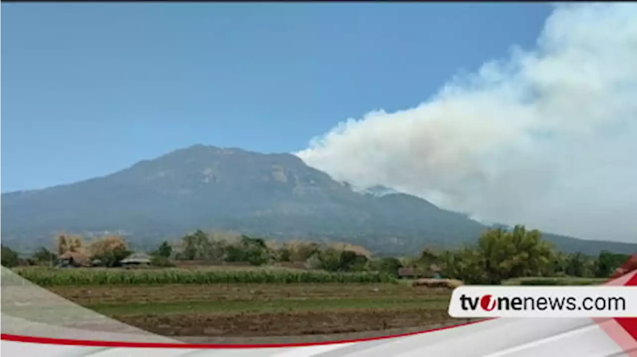 Kebakaran Hutan Gunung Lawu Makin Meluas, BPBD Magetan Kerahkan Relawan ...