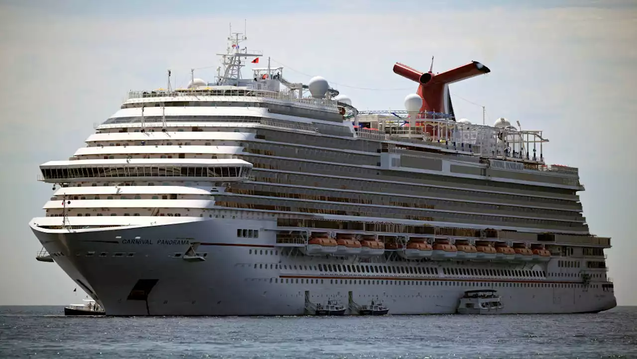 Carnival CEO on demand for cruises: 'All we see are green arrows'