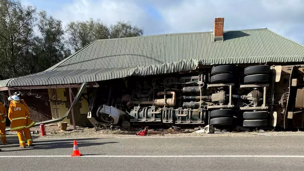 Livestock truck crashes into house, people urged to look out for wandering cattle