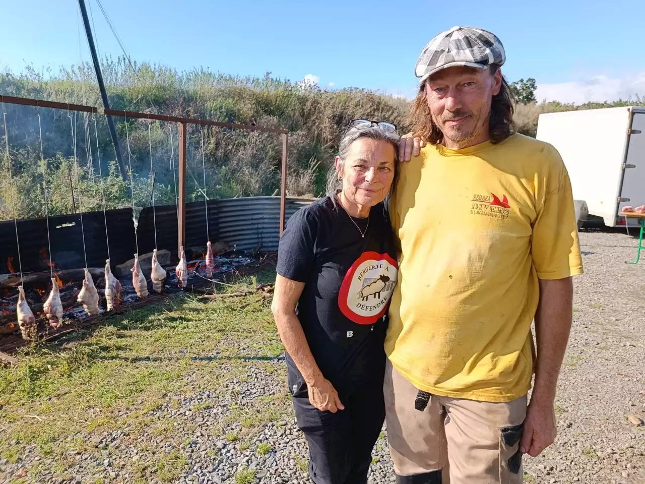 Dans la baie du Mont-Saint-Michel, treize mois de combat la bergerie à défendre