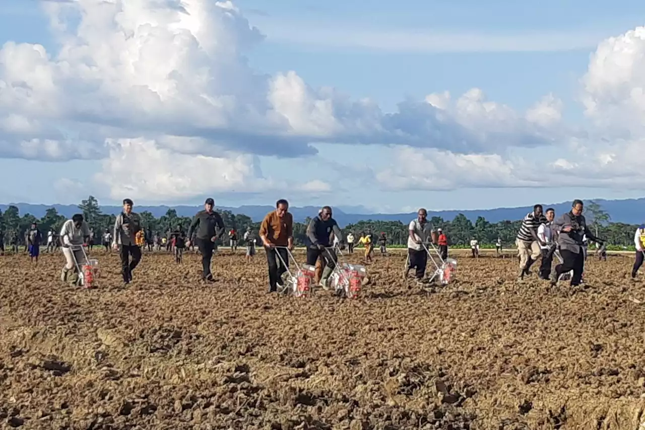 DPR kian yakin soal 'food estate' setelah bertemu petani Kalteng