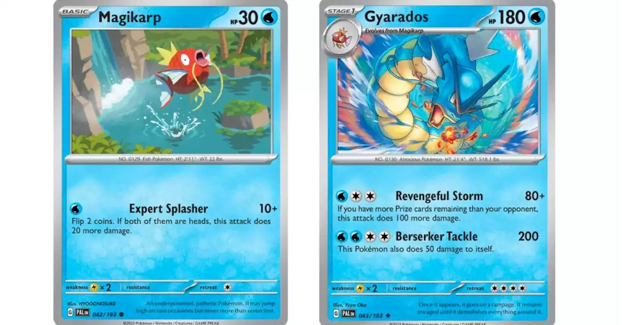 The Cards Of Pokémon TCG: Paldea Evolved Part 11: Magikarp Line