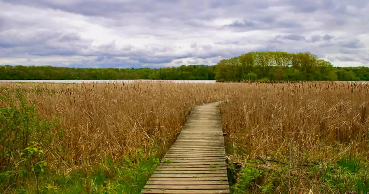 This nature paradise outside of Toronto has boardwalks over creeks and scenic lookouts