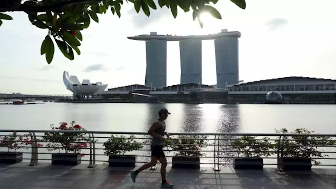 IFC’s Singapore Commitments Reach Record $1.2 Billion on ESG: BT