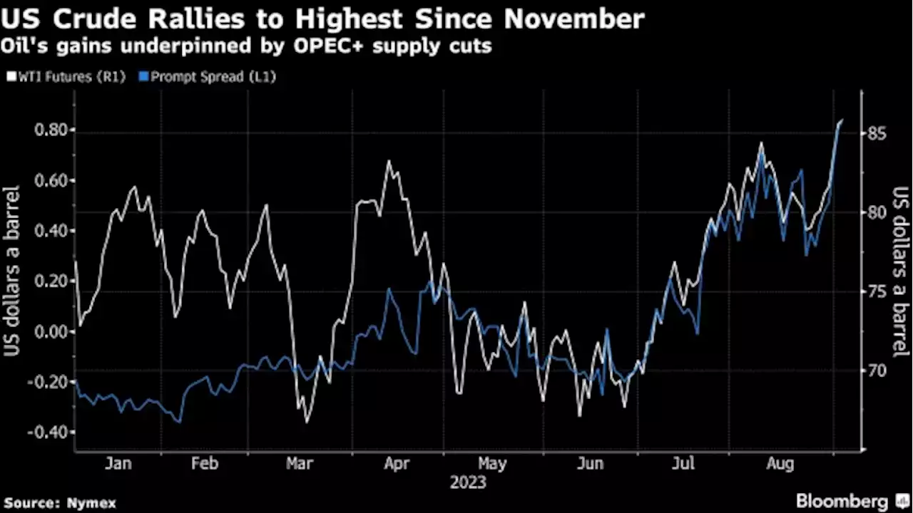 Oil Rallies to Highest Since November on OPEC+ Supply Reductions