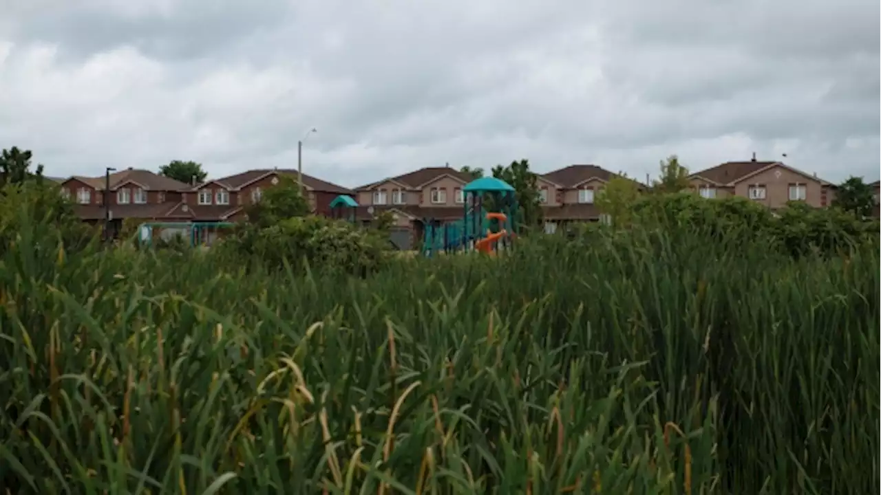 Ontario Housing Minister Steve Clark Resigns Amid Greenbelt Development Scandal