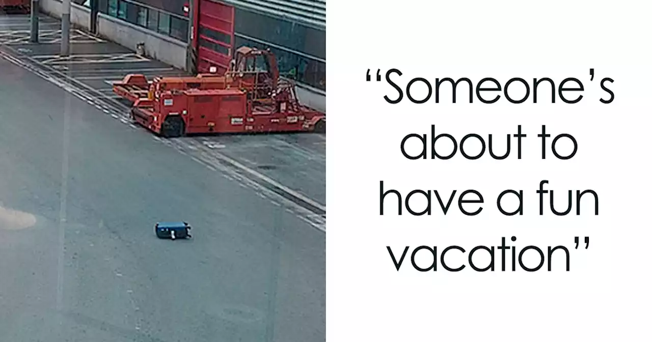 102 Times People Vacations Went So Bad, You’ll Probably Not Even Be Jealous (New Pics)