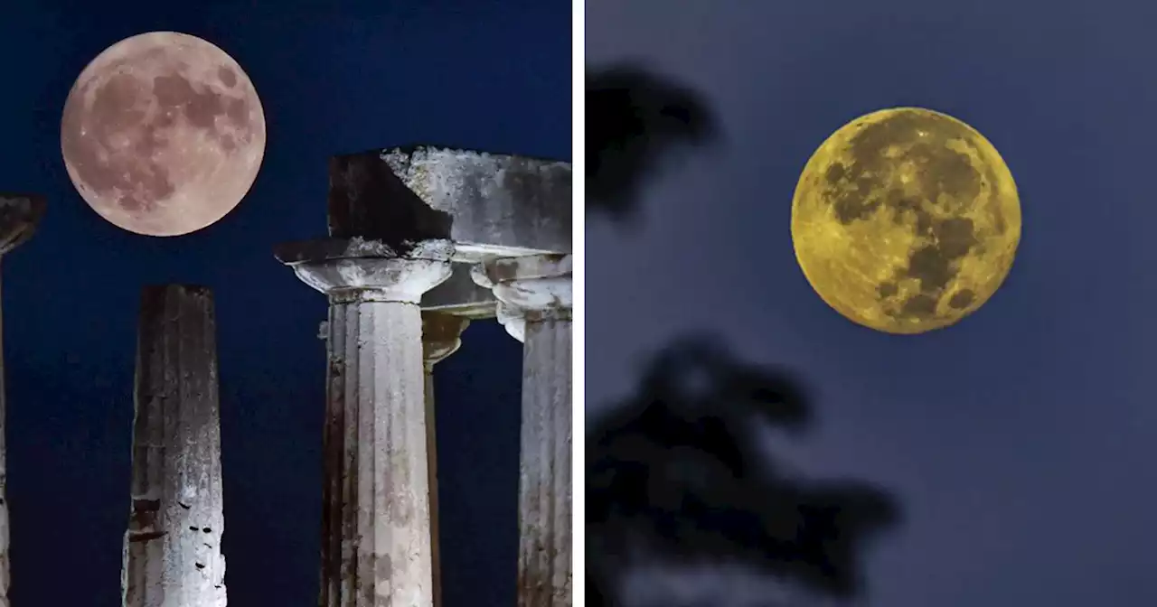 60 Photos Of The Blue Supermoon To Appreciate Before It Happens Again In 2037