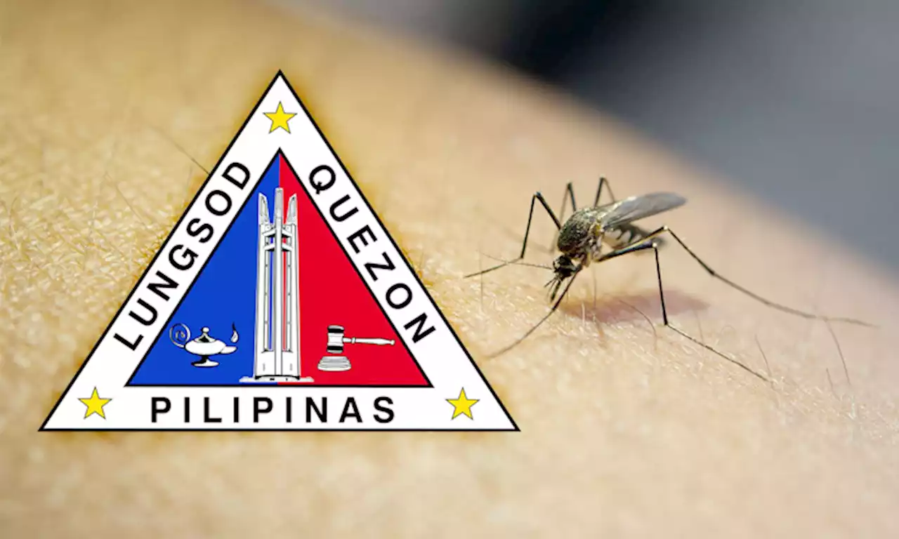 Fighting dengue in Quezon City through ‘Slay the Swarm’ strategy