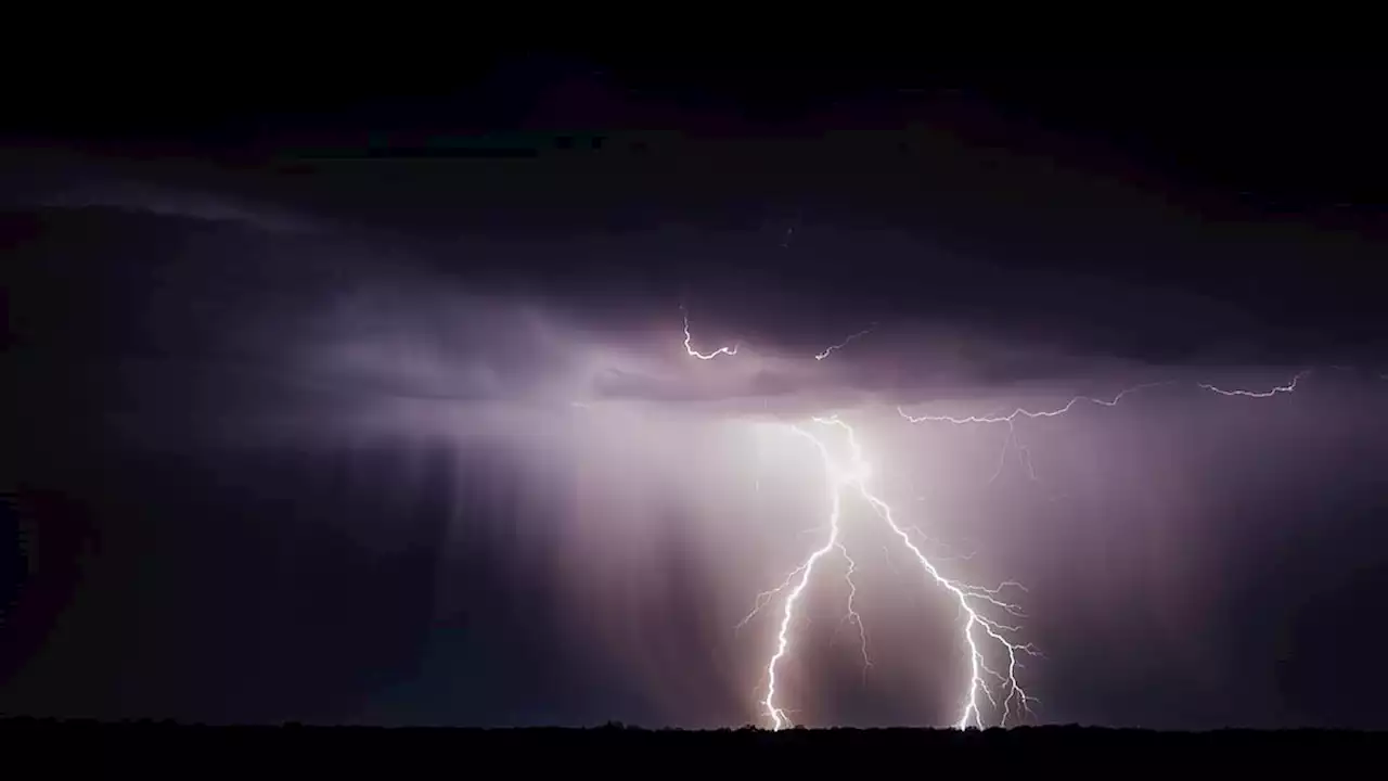 DocMorris, Ypsomed und Co: Was ein Hedgefonds mit dem Kursgewitter zu tun haben könnte