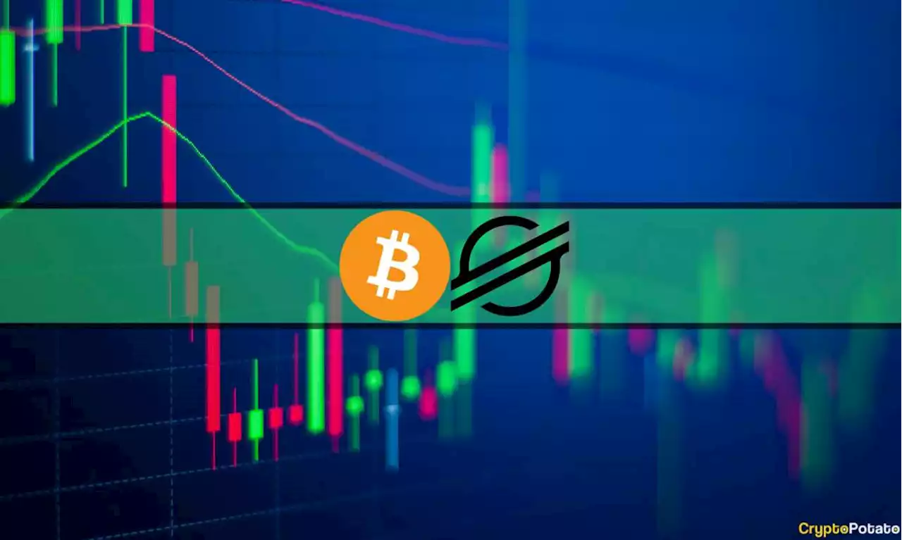 Stellar (XLM) Explodes 10% Daily, Bitcoin (BTC) Stalls at $26K: Market Watch