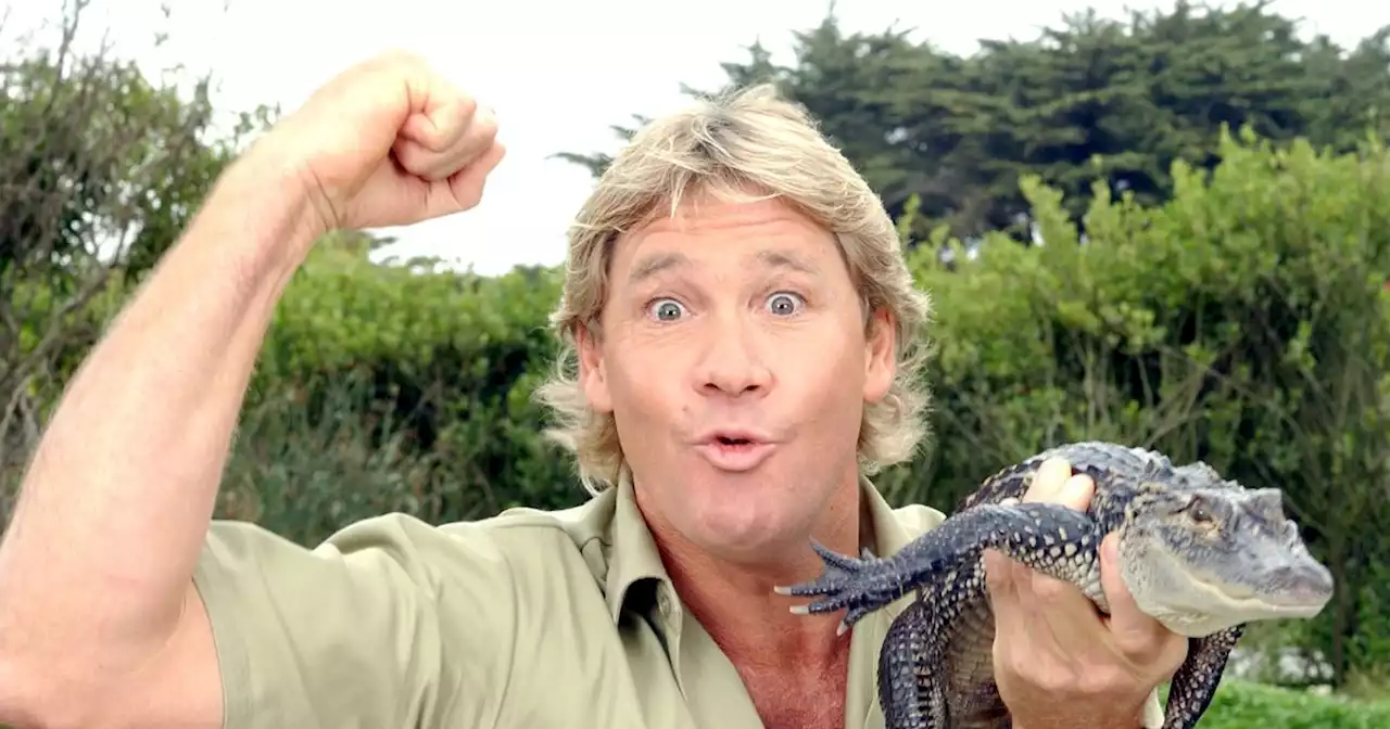 Steve Irwin's gut-wrenching plea as death was captured on film