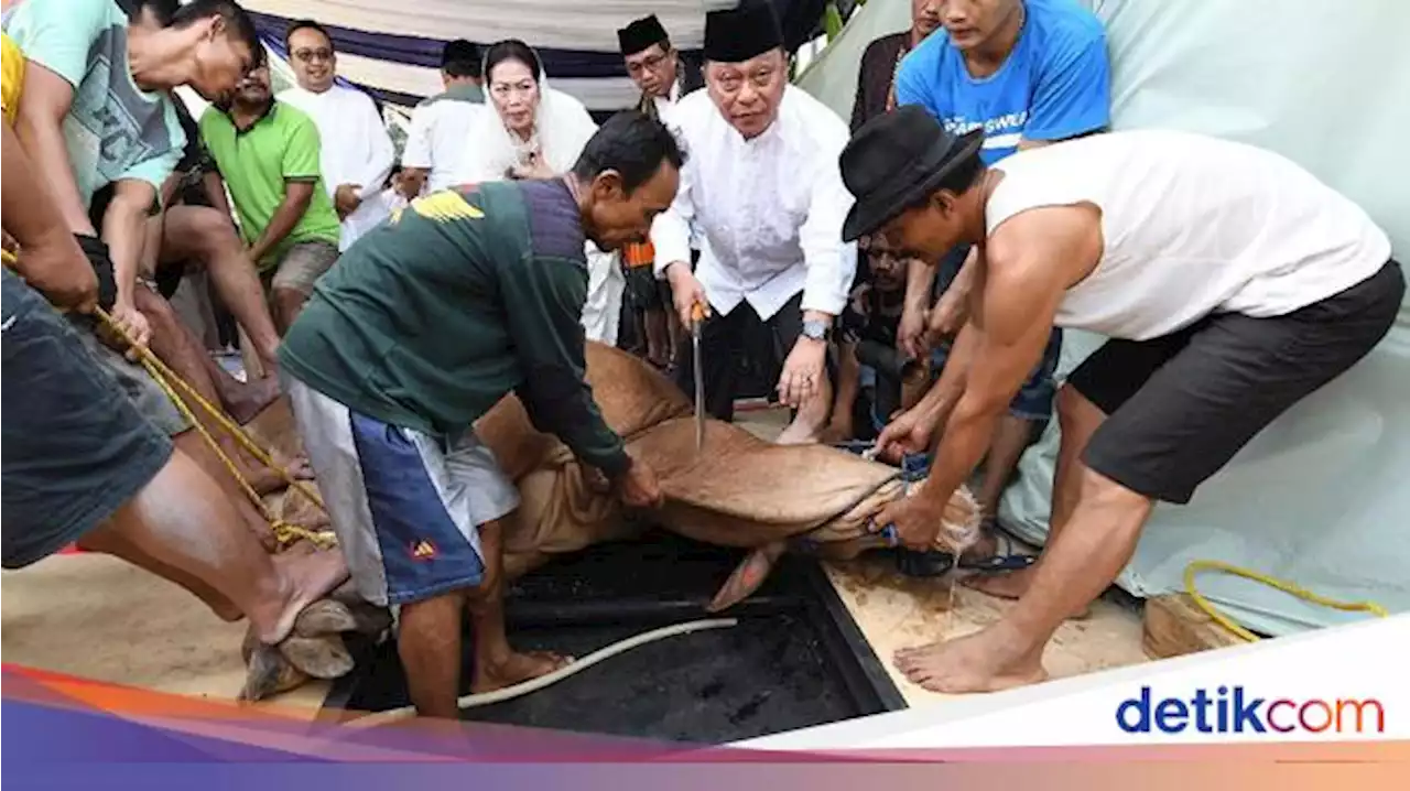 Tata Cara Menyembelih Hewan yang Benar Menurut Syariat Islam