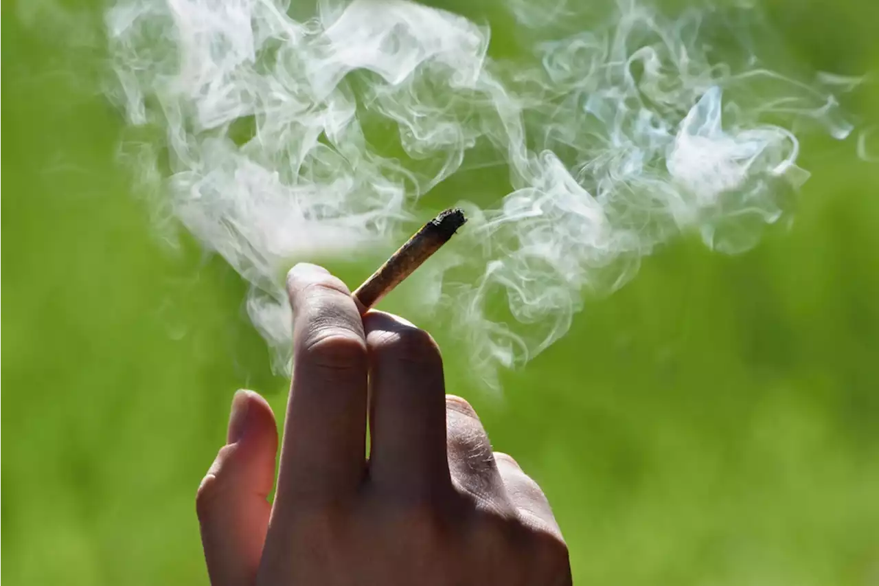 Many People Think Cannabis Smoke Is Harmless − A Physician Explains How That Belief Can Put People At Risk