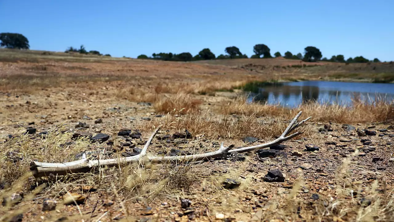 Norte tem cinco milhões do PRR para criar cadastro predial