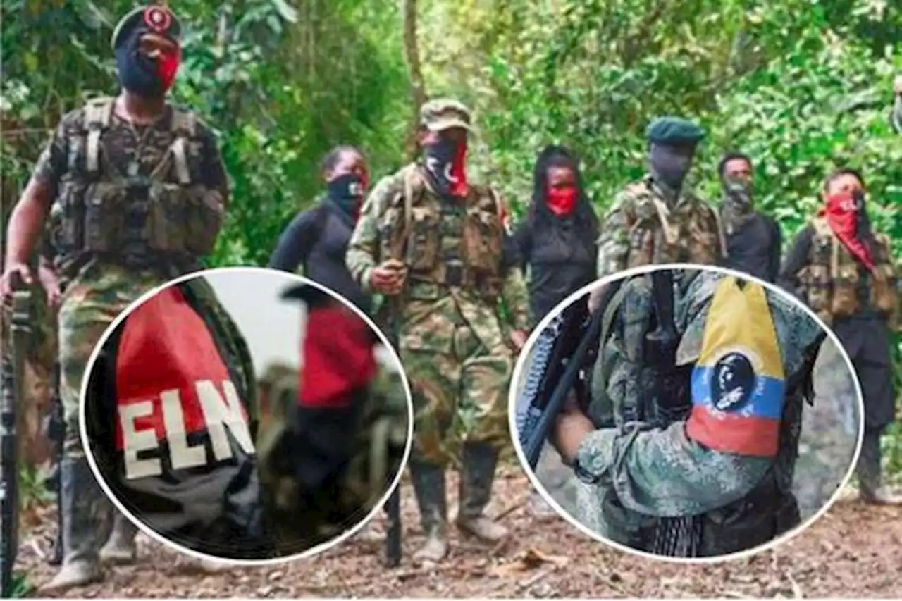 ELN y disidencias ponen en riesgo a comunidades de Cauca y Valle, dice Defensoría