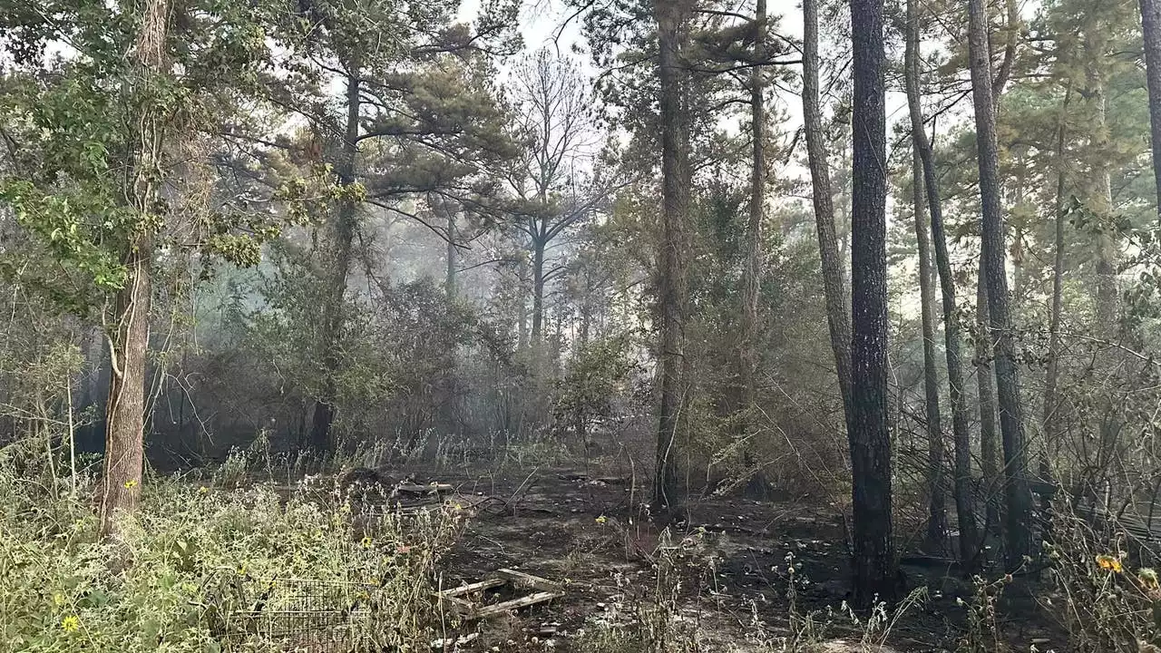 Harris County grass fire spread, caused hotel to evacuate near Willowbrook Mall