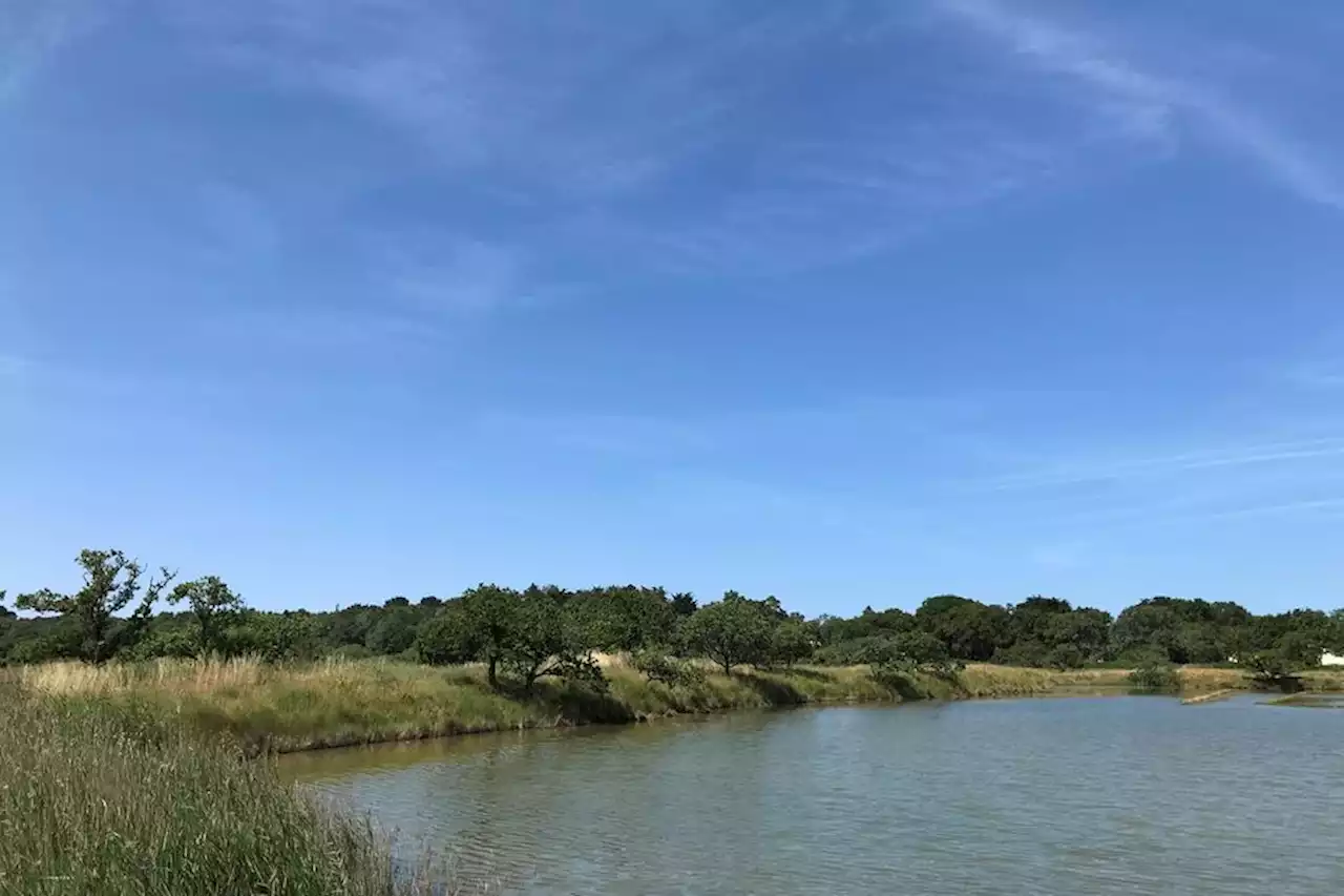 Météo en Pays de la Loire. Entre 30 et 35 degrés attendus ce lundi