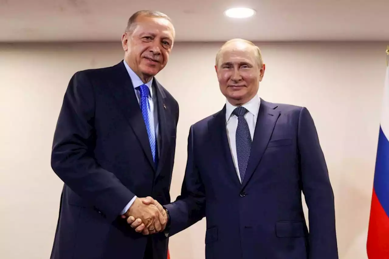 Talks under way between Putin and Erdogan to revive Ukraine grain export deal