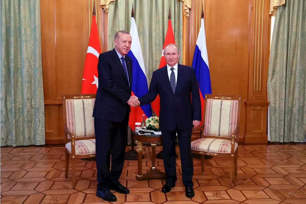 Putin och Erdogan möts om spannmålsavtal