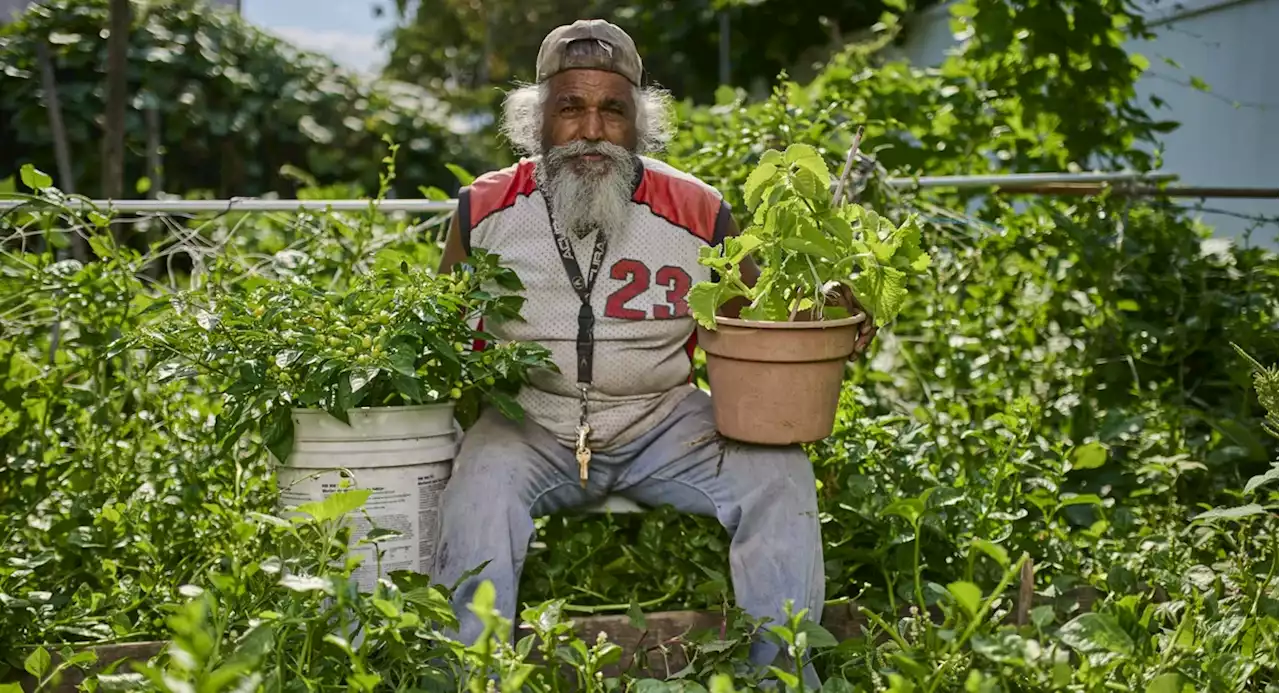 A photographer captures the people behind NYC’s community gardens