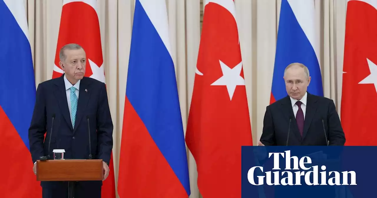 No sign of Black Sea grain breakthrough after Erdoğan-Putin talks