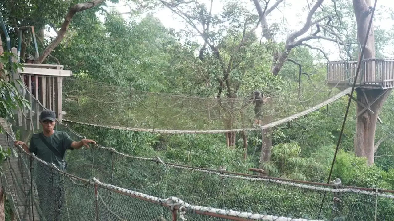 Challenges in Realizing IKN Biodiversity