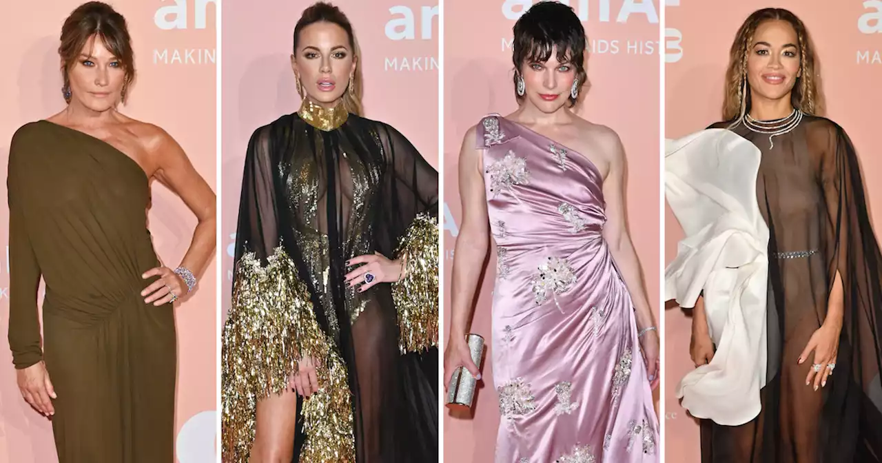 Da Carla Bruni a Rita Ora, i look delle star all'amfAR Gala Venezia 2023