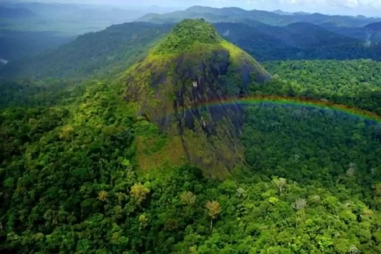 Governo do Pará criará nova unidade de conservação integral no Dia da Amazônia