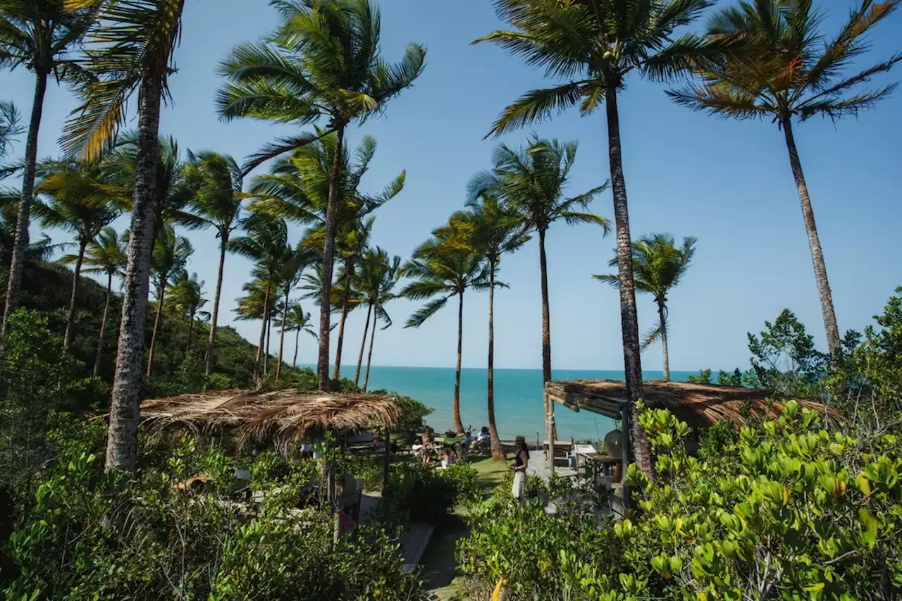 Organic Festival, em Trancoso, faz sua quarta edição com a participação de chefs de todo o país