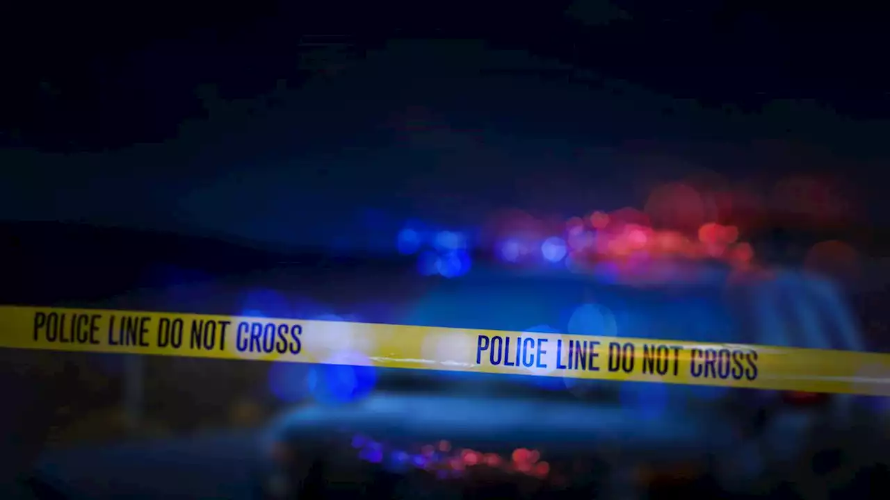 2 killed, 6 wounded in shooting at wedding reception