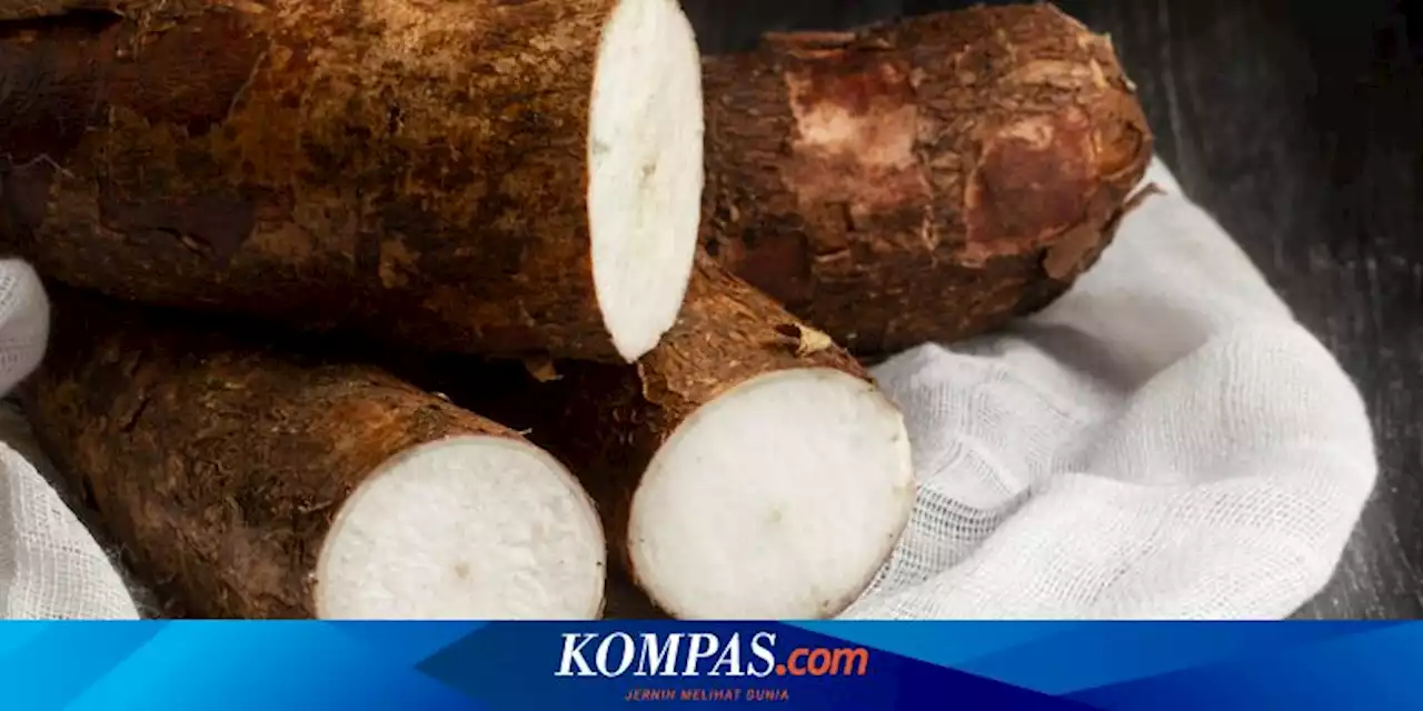 Hati-hati, Ini 3 Efek Samping Singkong jika Keliru Mengonsumsinya