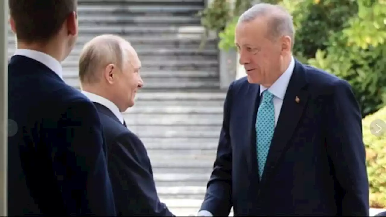 Kunjungi Putin, Erdogan Upayakan Kesepakatan Ekspor Gandum Ukraina Kembali Dilakukan