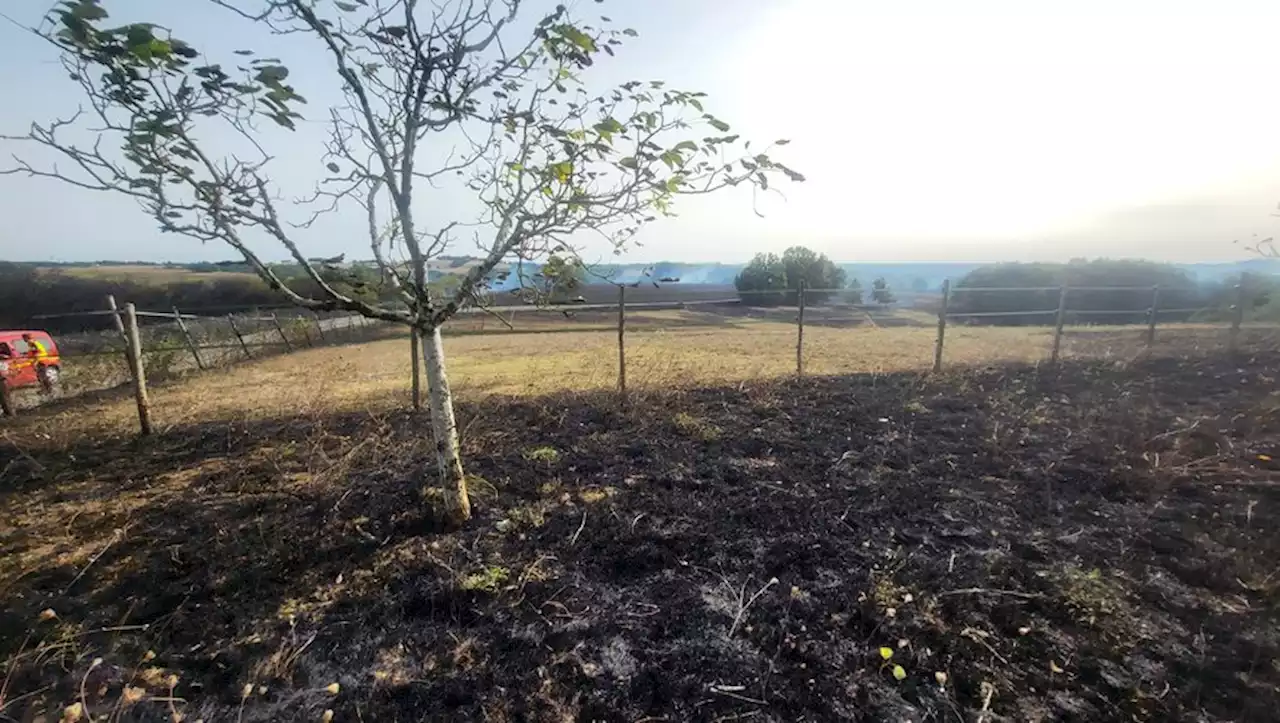 Un incendie ravage dix hectares à Villemur-sur-Tarn, au nord de Toulouse