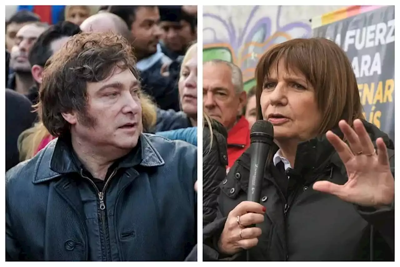 | La respuesta de Patricia Bullrich a la acusación de “dolarización sangrienta” de Javier Milei