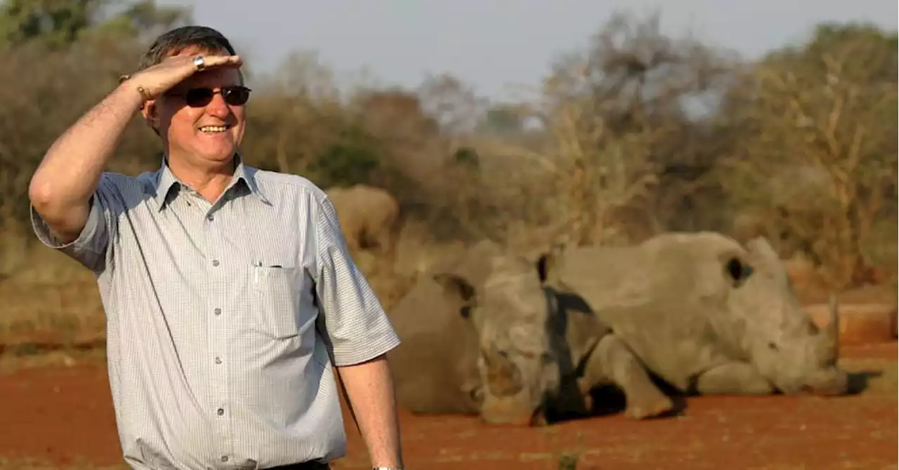 Afrique du Sud: le plus grand élevage mondial de rhinocéros sauvé par une ONG