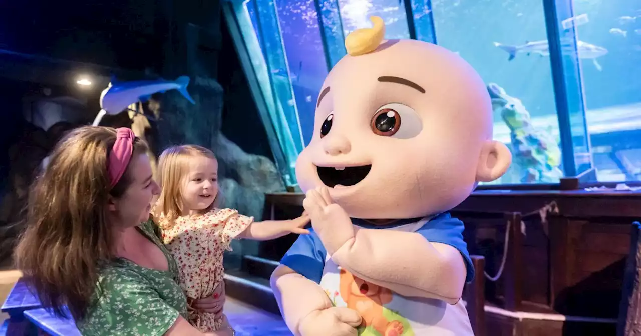 CoComelon's JJ at SEA LIFE Blackpool for meet and greet this month