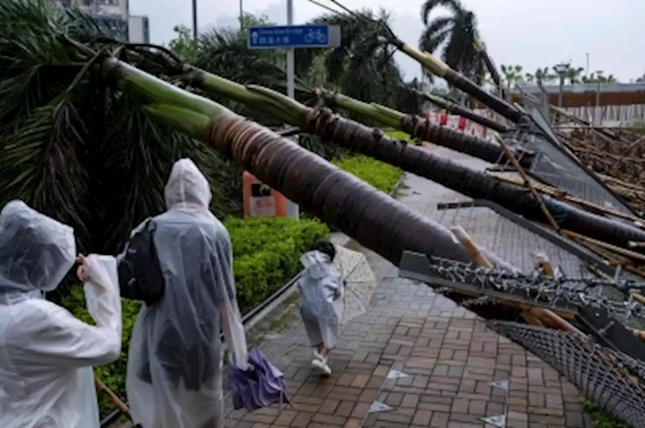 Typhoon Saola weakens to a severe storm as it tracks along southern China