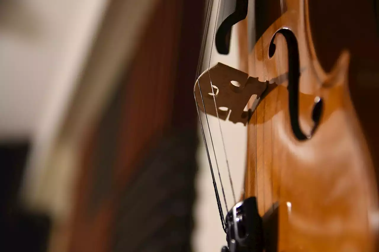 Brain waves of distressed patients slow to meditative state as violist plays, study finds