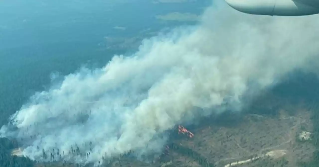 Arbor resumes exploration following Québec wildfire closure